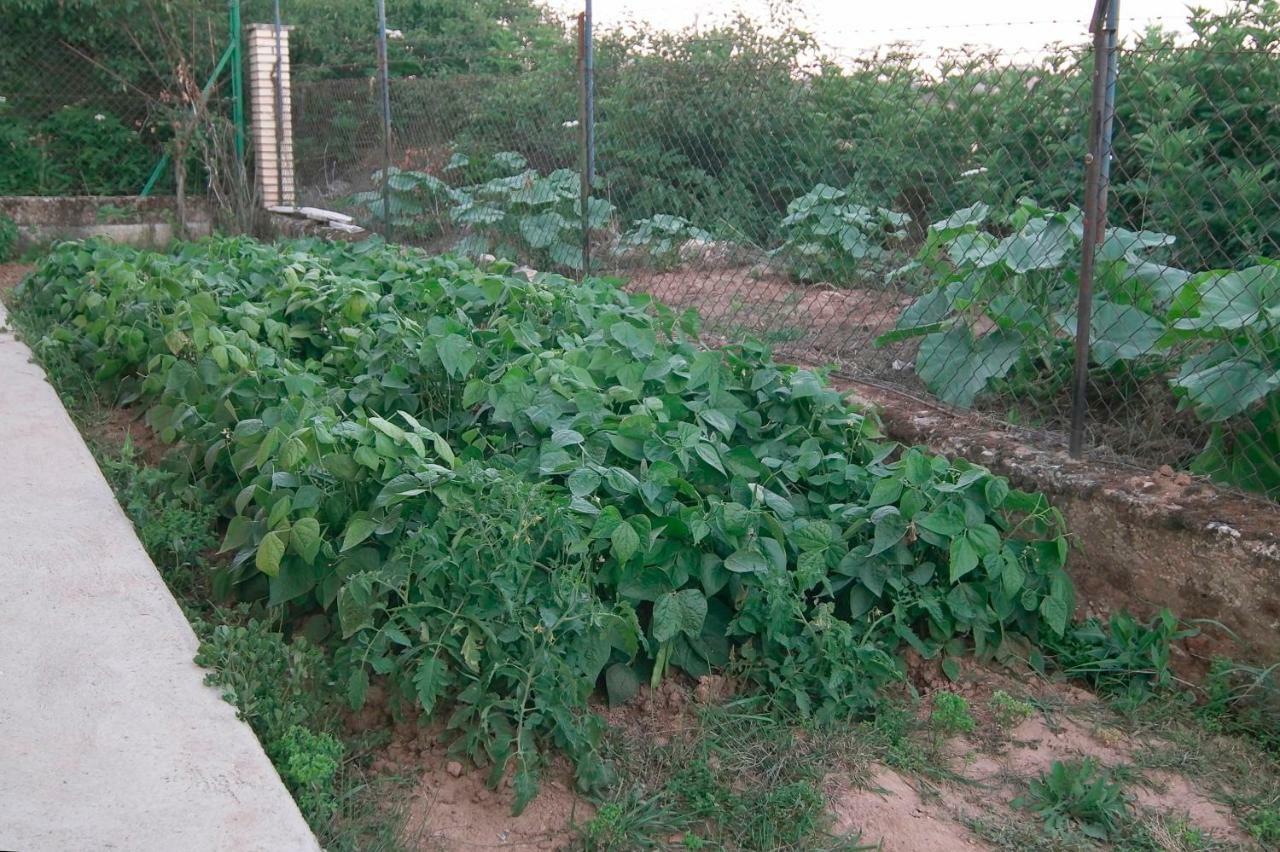 El Jardin De Manuela Villa Santibanez del Val Buitenkant foto