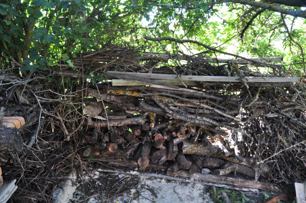 El Jardin De Manuela Villa Santibanez del Val Buitenkant foto