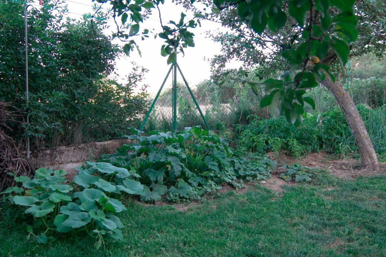 El Jardin De Manuela Villa Santibanez del Val Buitenkant foto