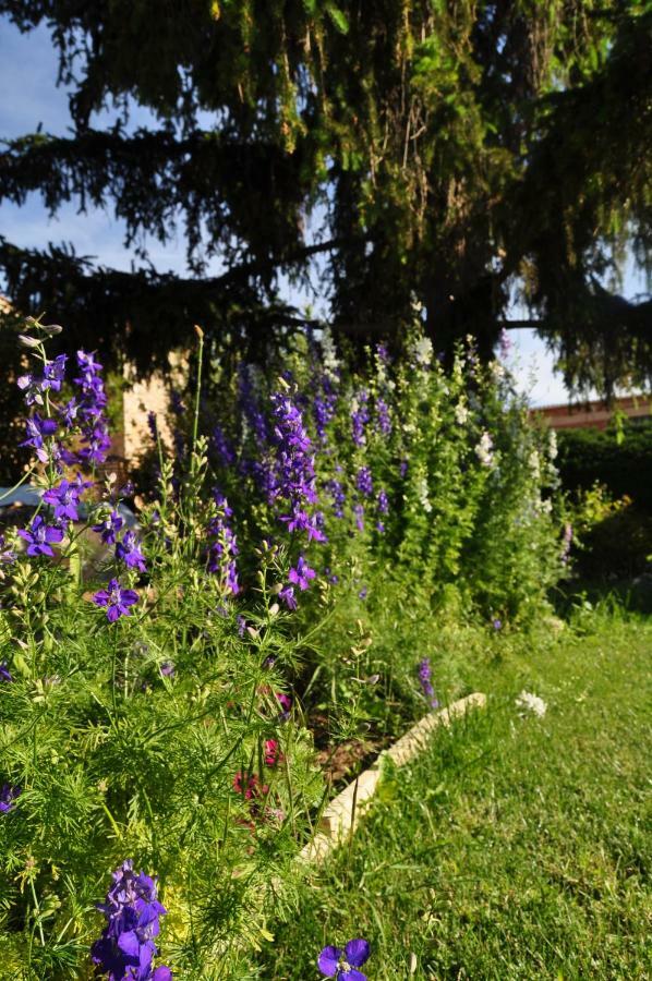 El Jardin De Manuela Villa Santibanez del Val Buitenkant foto